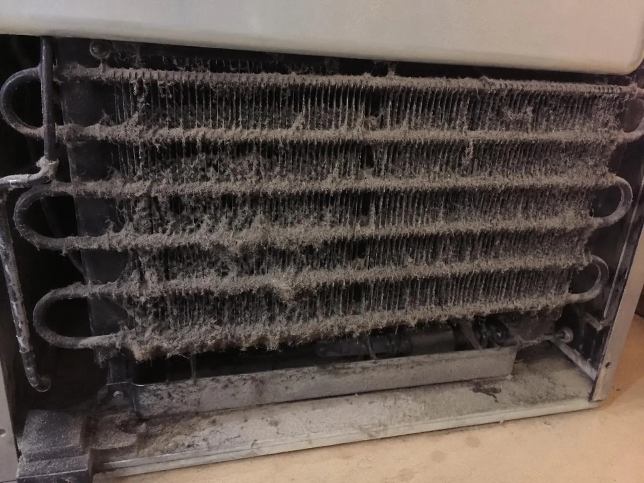 Refrigerator condenser coils caked with grey dust before service